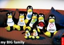 poster_linux_big_family1
